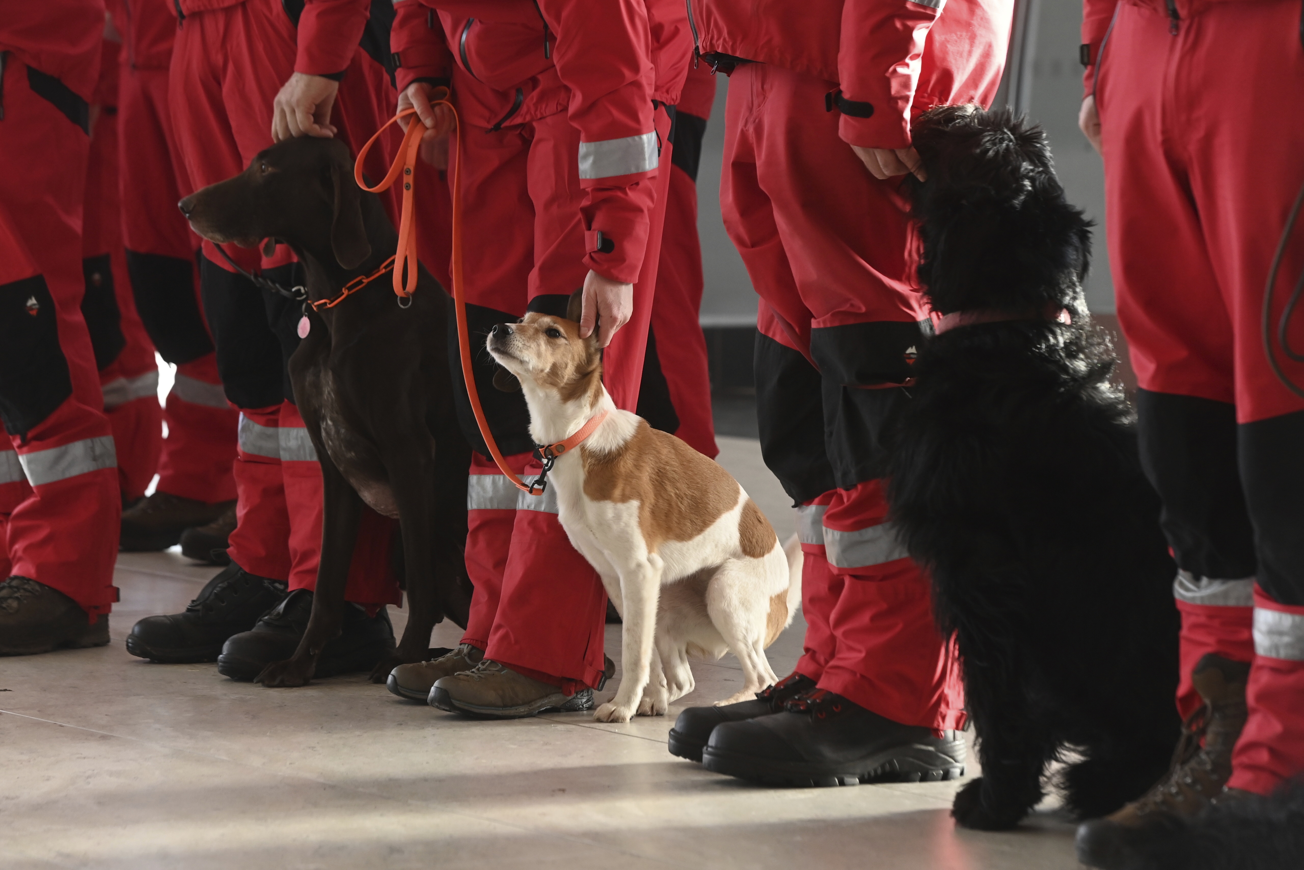 Members of urban search and rescue (USAR) team of Czech firefighters prepares to fly to the earthquake-hit Turkey to help search for people in debris, at Leos Janacek Airport, in Ostrava, Czech Republic, Monday, Feb. 6, 2023.