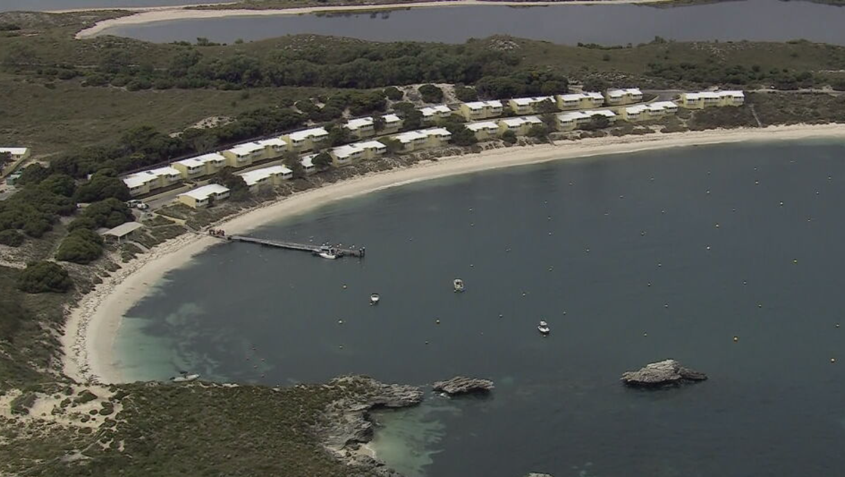 A﻿ man in his 30s is in a critical condition after a suspected white shark attack on Rottnest Island near Perth. A St John WA ambulance spokesperson said emergency services were called to the scene off Geordie Bay at 10am (local time) today.A rescue helicopter, paramedics and police ﻿are at the scene.