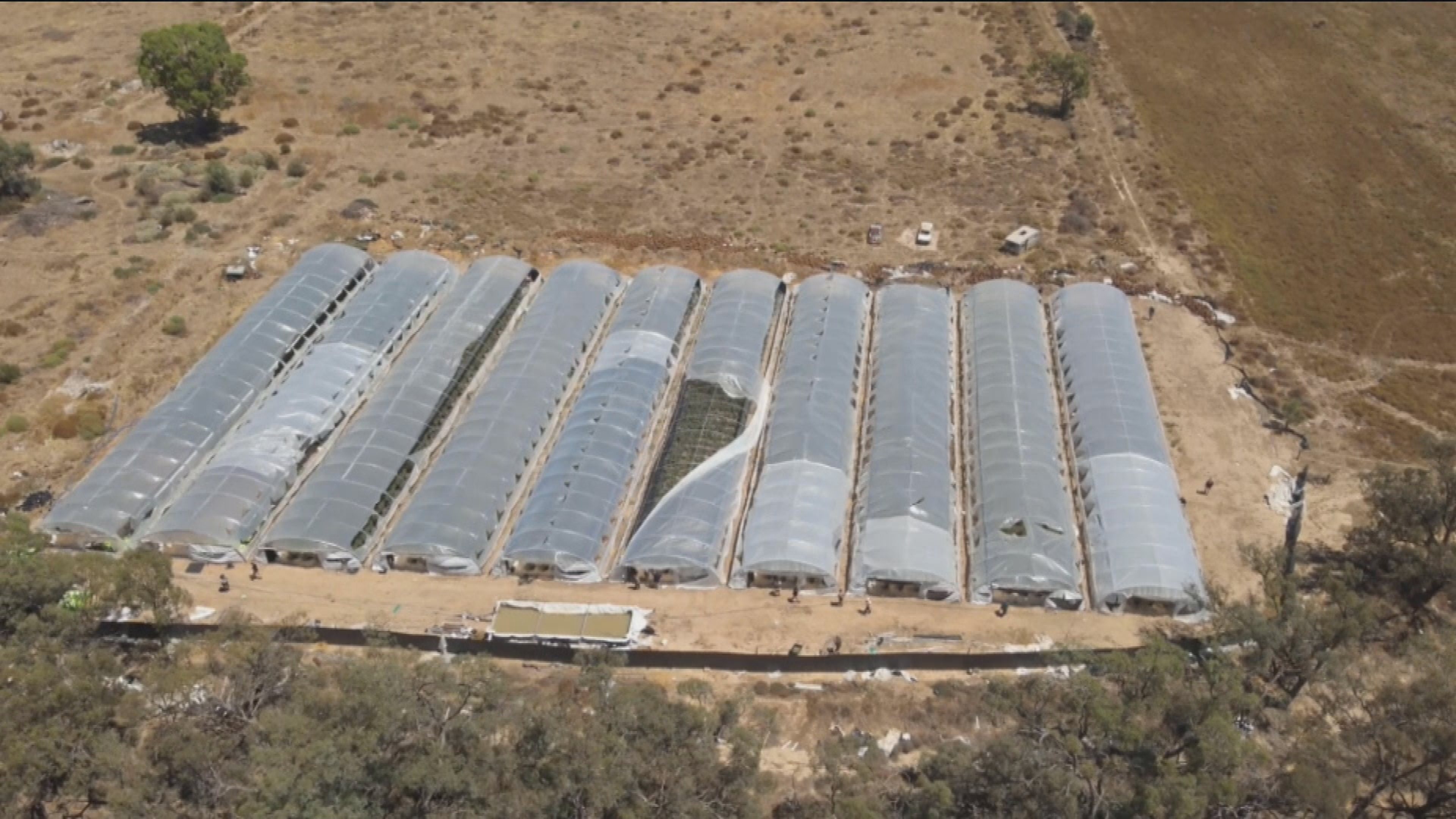 Ten large greenhouses were uncovered on the property near Kerang.