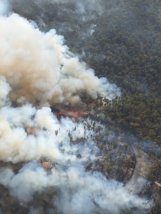 The fire burning near Lebrina has destroyed 1600 hectares. 