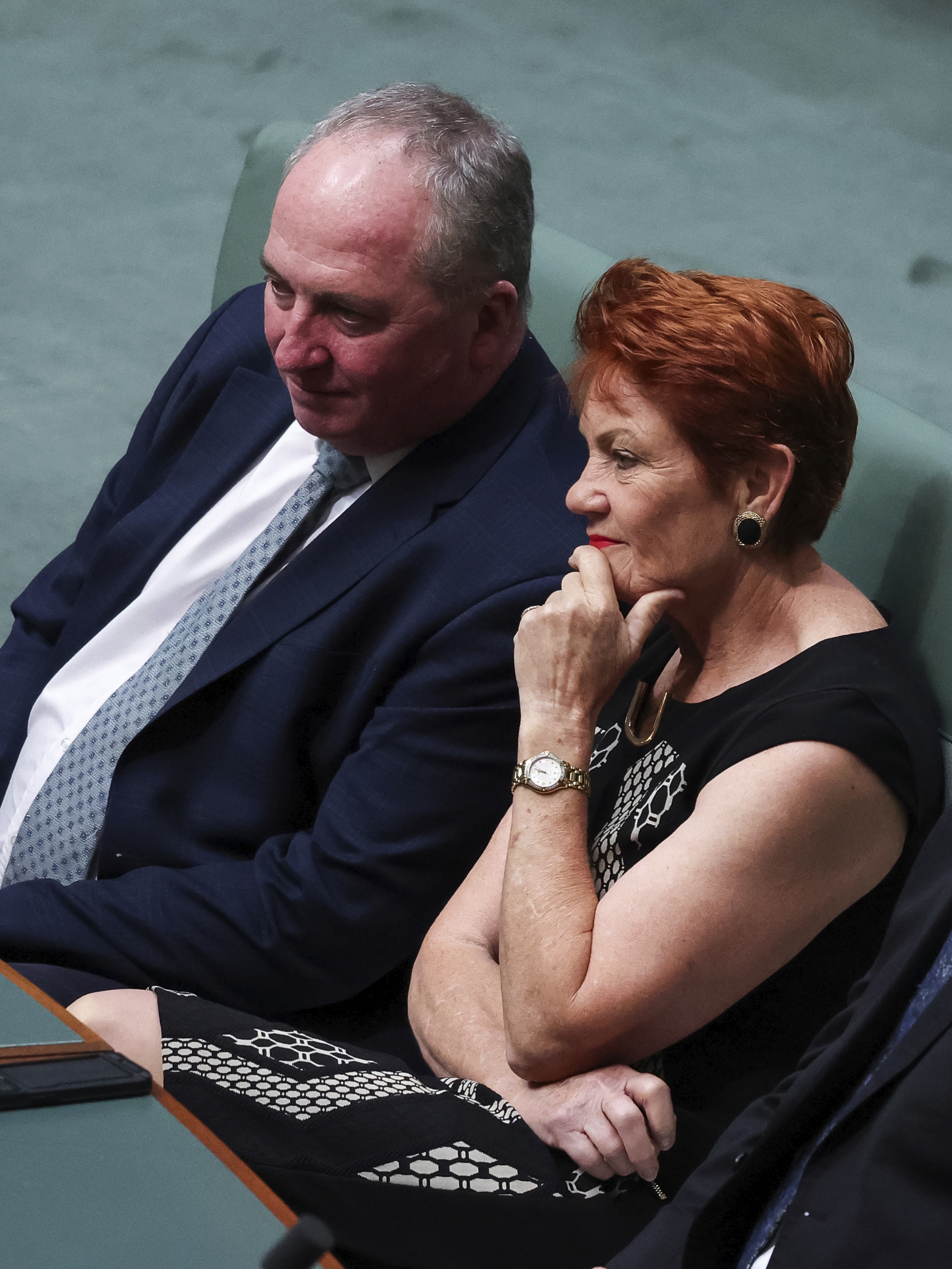Member for New England Barnaby Joyce and One Nation leader Senator Pauline Hanson in the House of Representatives to attend an address from President of the European Commission Ursula von der Leyen to Members and Senators of the Parliament of Australia, at Parliament House in Canberra, on Tuesday 24 March 2026. fedpol Photo: Alex Ellinghausen