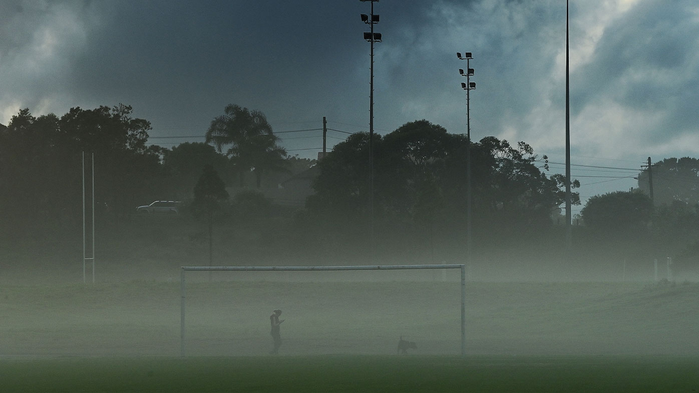 Dog park at Heffron Park in Sydney