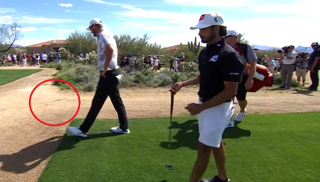 Marc Leishman was interrupted by a rattlesnake on course during the LIV Golf event in Tucson.