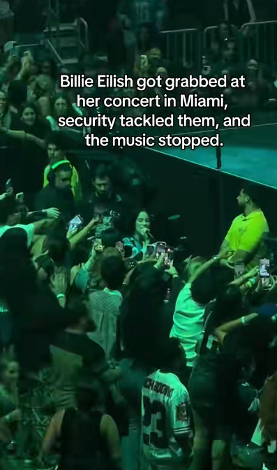 Billie Eilish pulled by fan at Miami concert