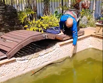 Twin Waters snake pool