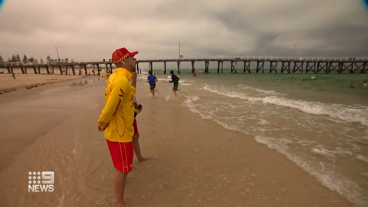 Surf Life Saving SA said there has been a 13 per cent increase in shark sightings.