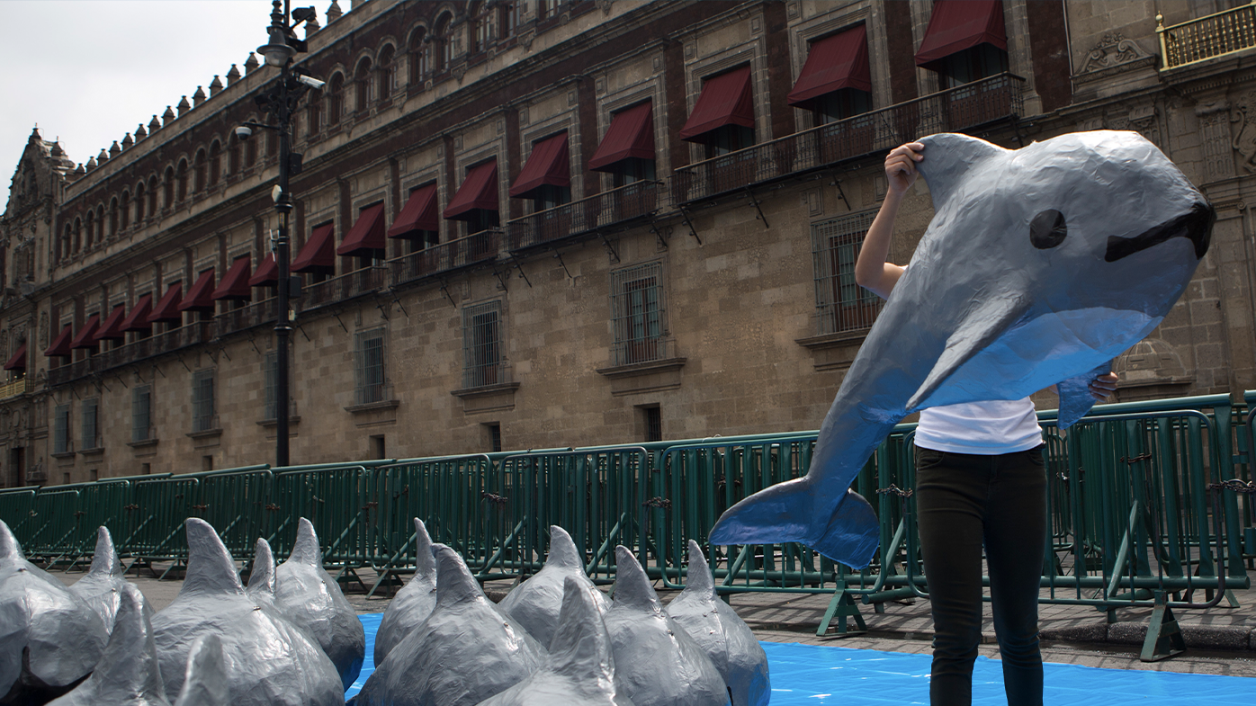 A young woman with the World Wildlife Fund carries a papier mache replica of the critically endangered porpoise known as the vaquita marina, during an event in front of the National Palace in Mexico City. (AP Photo/Rebecca Blackwell, File)