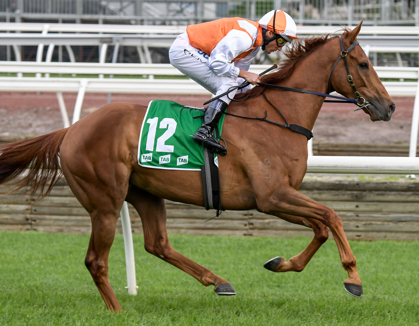 Melbourne Cup horses 2019 form guide, tips, updated odds, jockeys