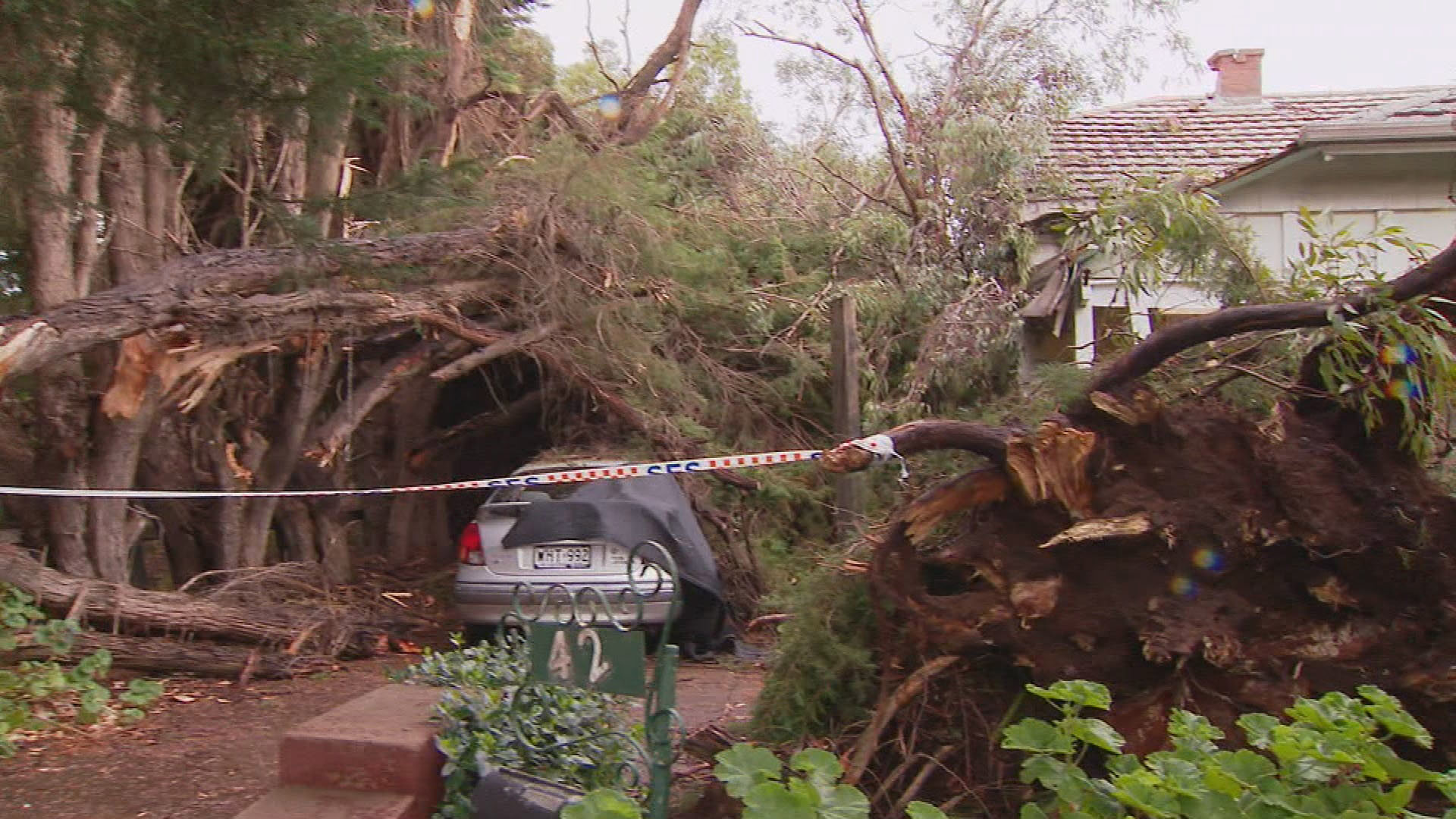 Wild weather is hitting South Australia, with dozens of calls for help overnight - and the fear more is yet to come.State emergency services have responded to more than 70 calls for help since midnight, and they're preparing for an even busier night ahead.
Ros, 70, from at Parkside in Adelaide had a tree came crashing down, nearly wiping out her home.