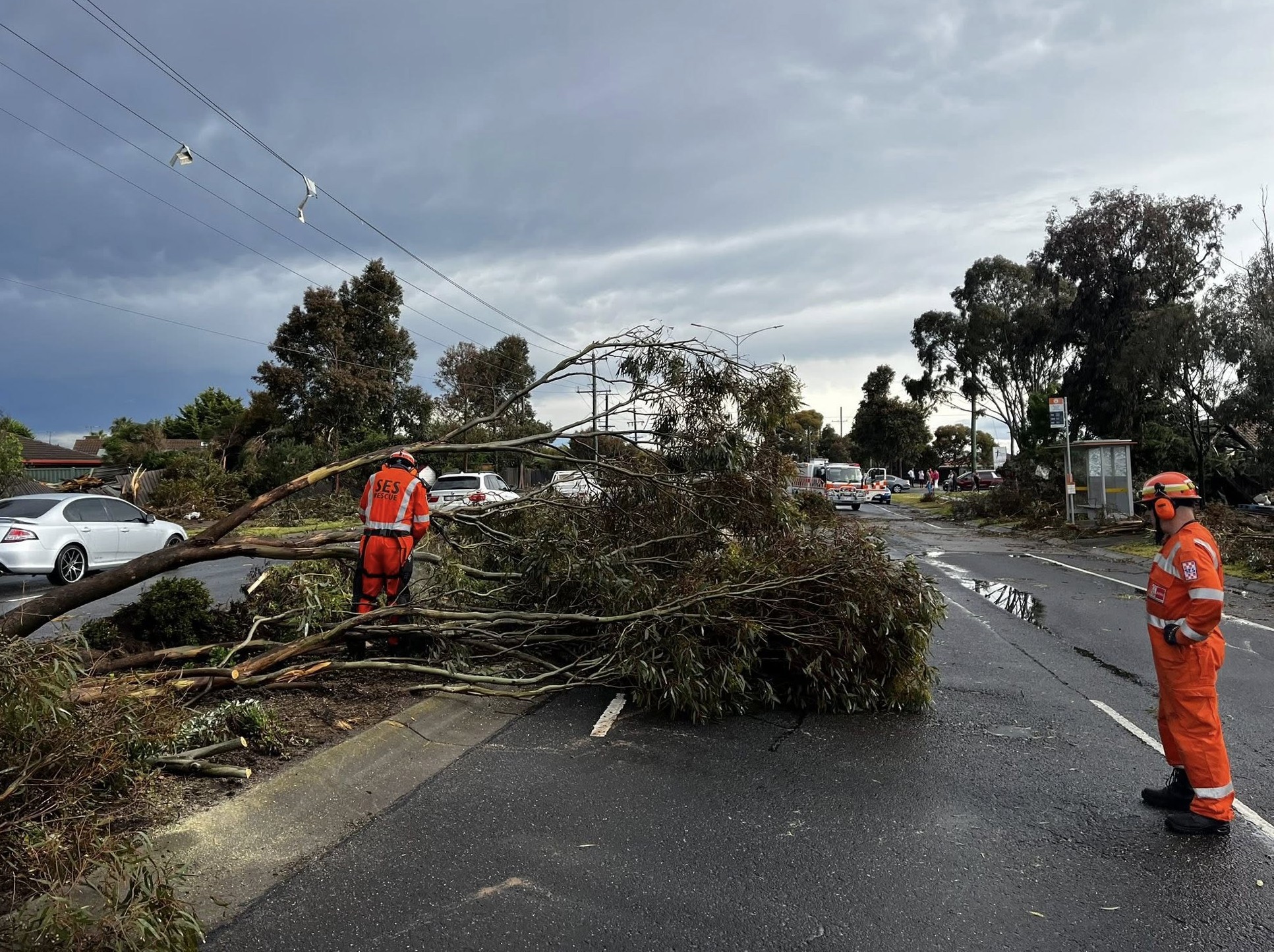 Storms bring down trees in Melbourne (Wyndham)