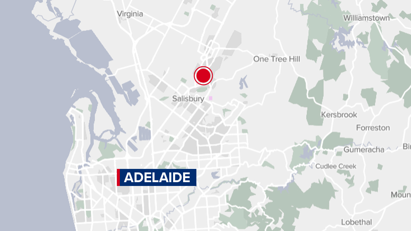 Alleged driver of runaway car arrested after police found her hiding in a backyard