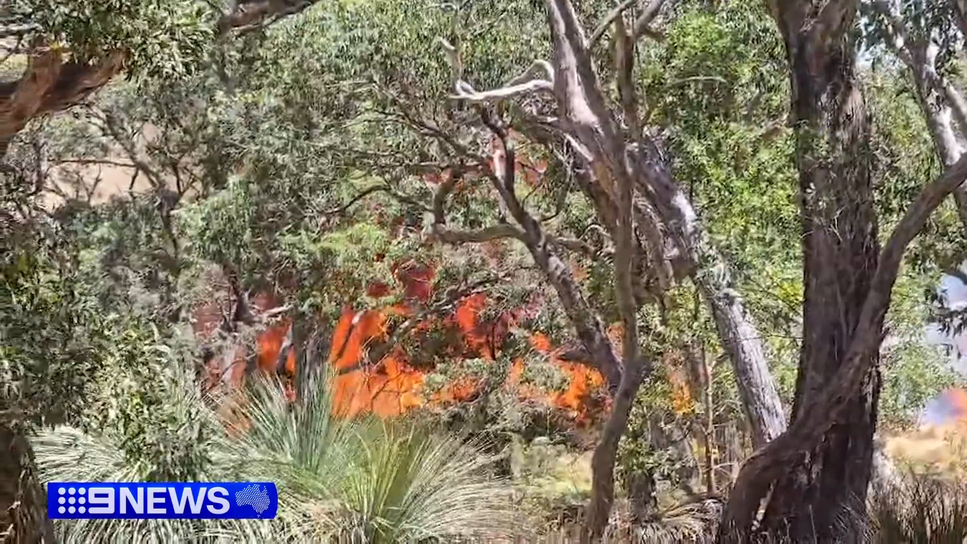 Deep Creek Conservation Park fire