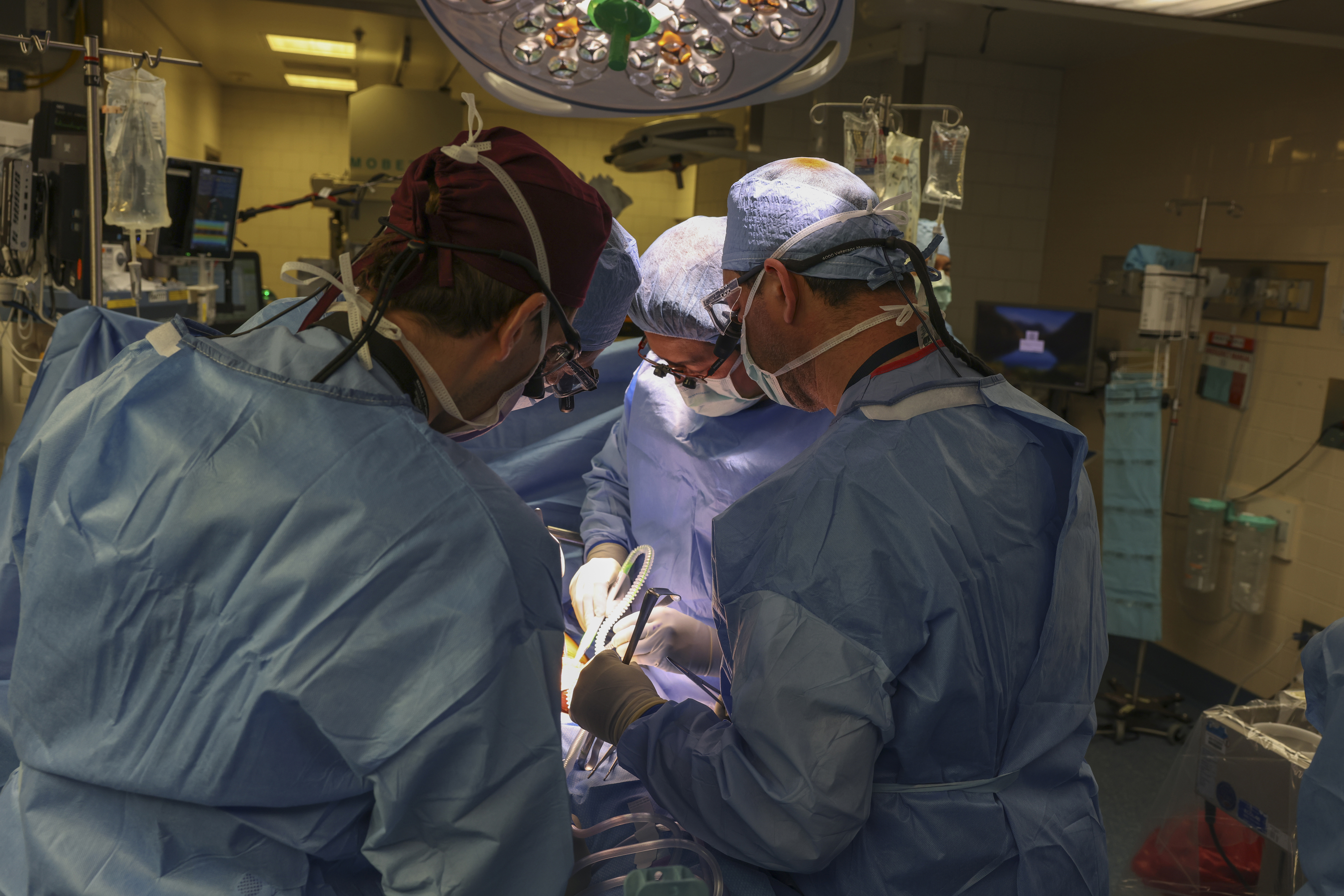 Surgeons perform the worlds first genetically modified pig kidney transplant into a living human at Massachusetts General Hospital, Saturday, March 16, 2024, in Boston, Mass. (Massachusetts General Hospital via AP)