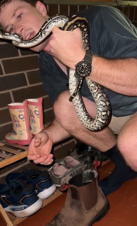Robert Irwin discovers snake in his boot