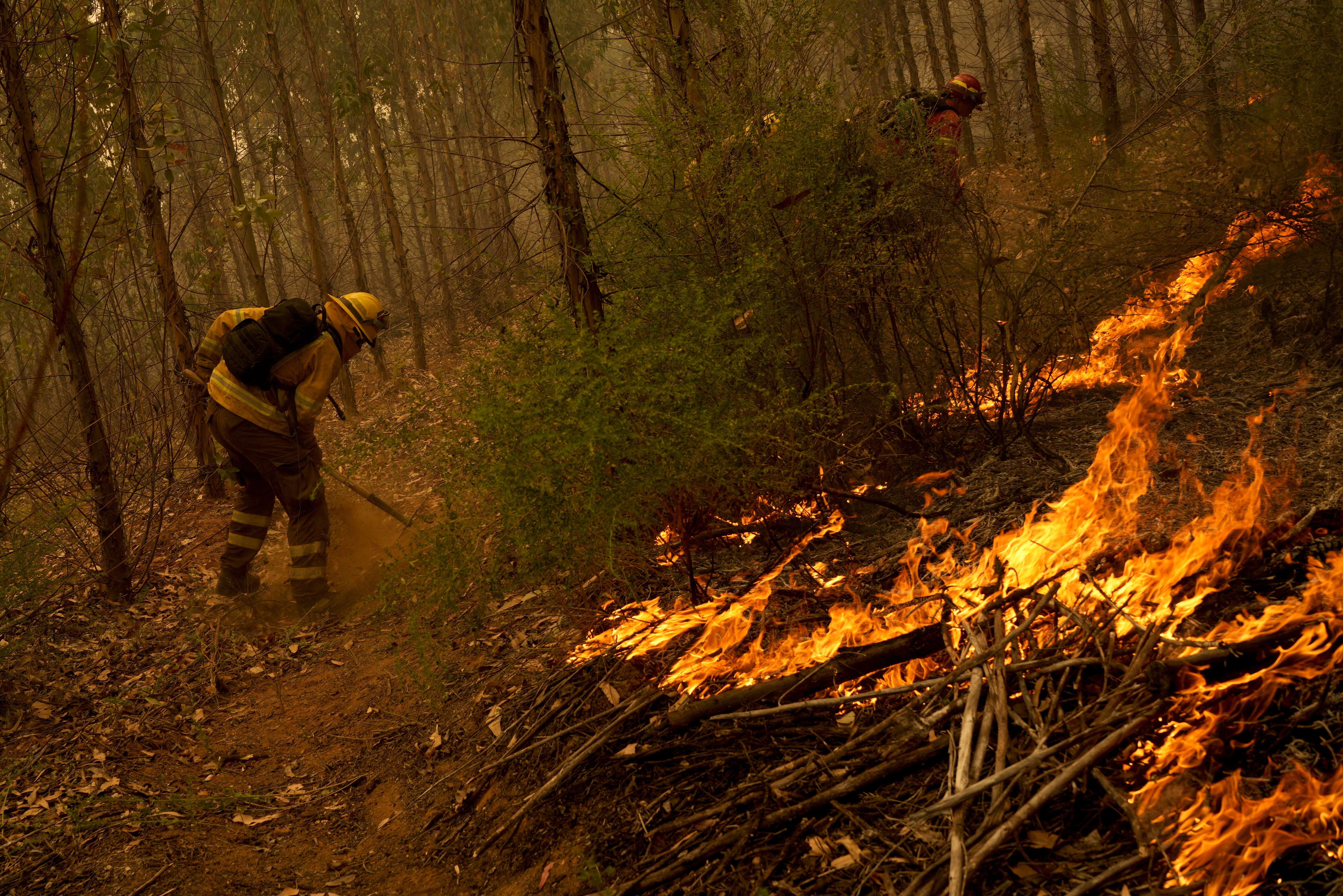 Firefighters work to extinguish flames alongside a road near Nacimiento, Chile, Saturday, Feb. 4, 2023.