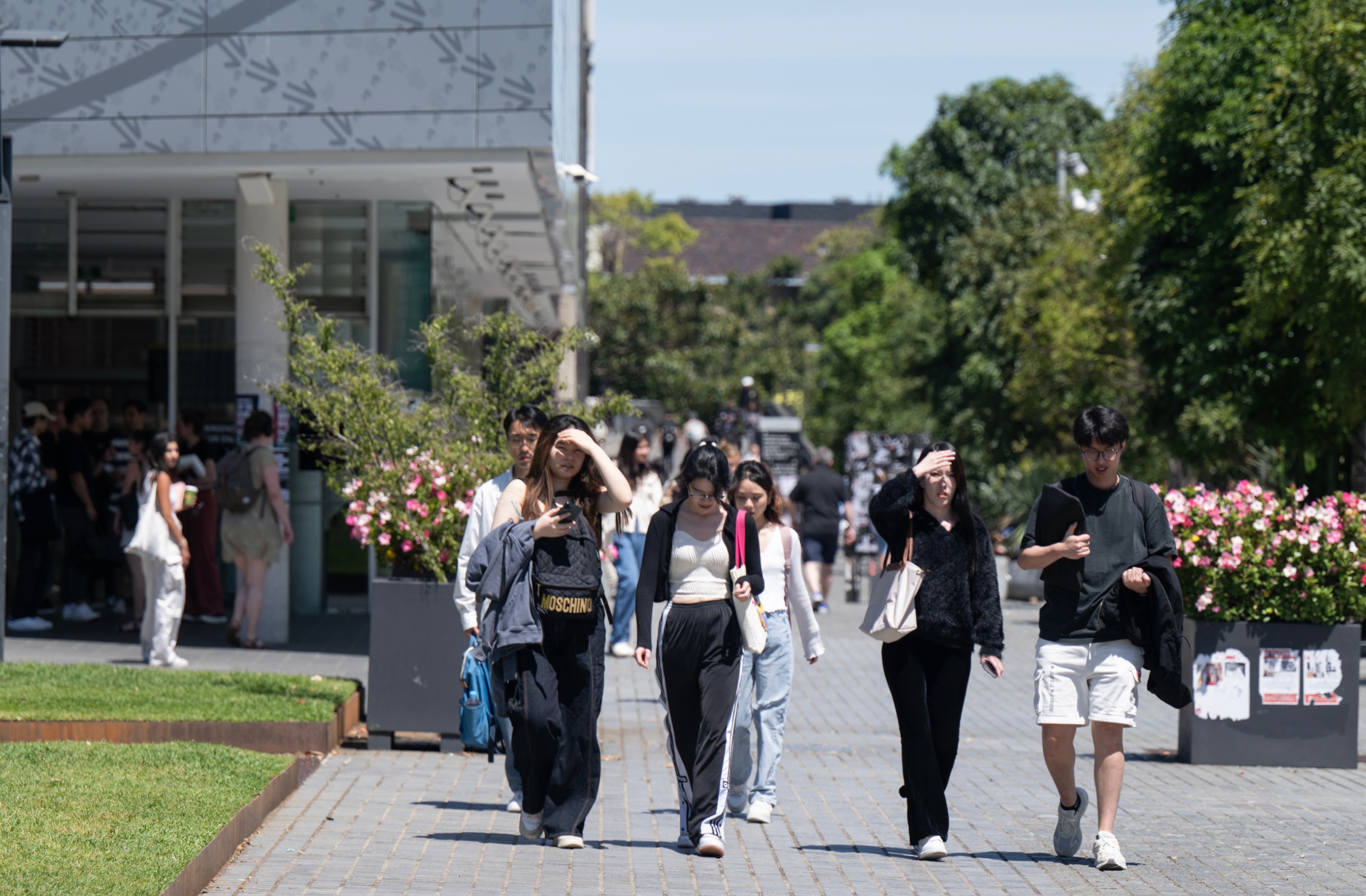 University Students