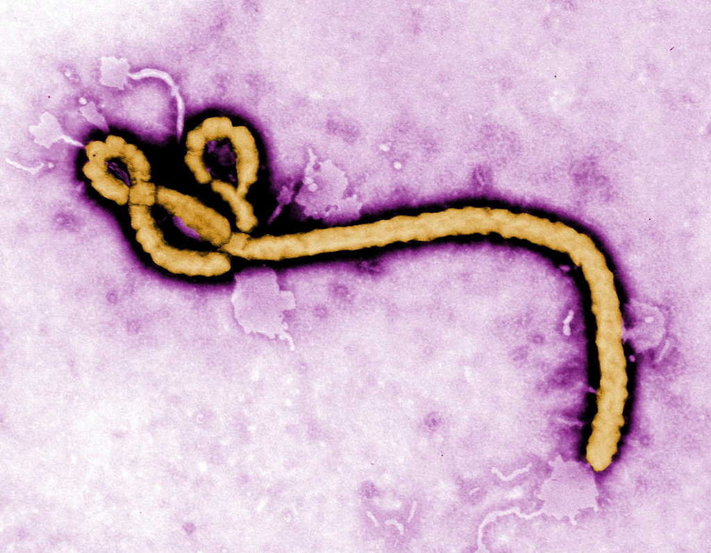 Why Global Health Emergencies are the Wrong Way to Measure Human Risk