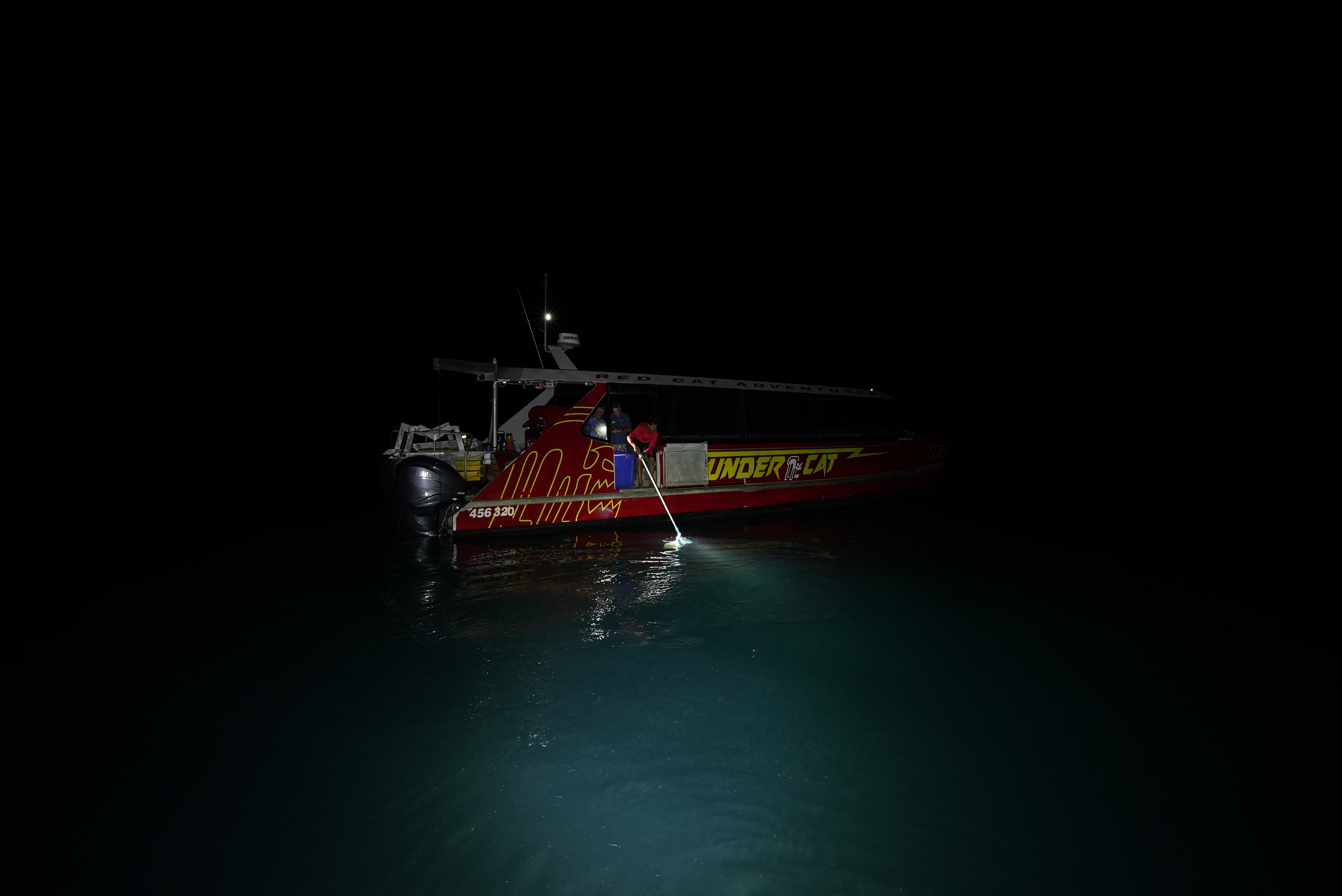 Coral spawn on Great Barrier Reef after the blood moon.