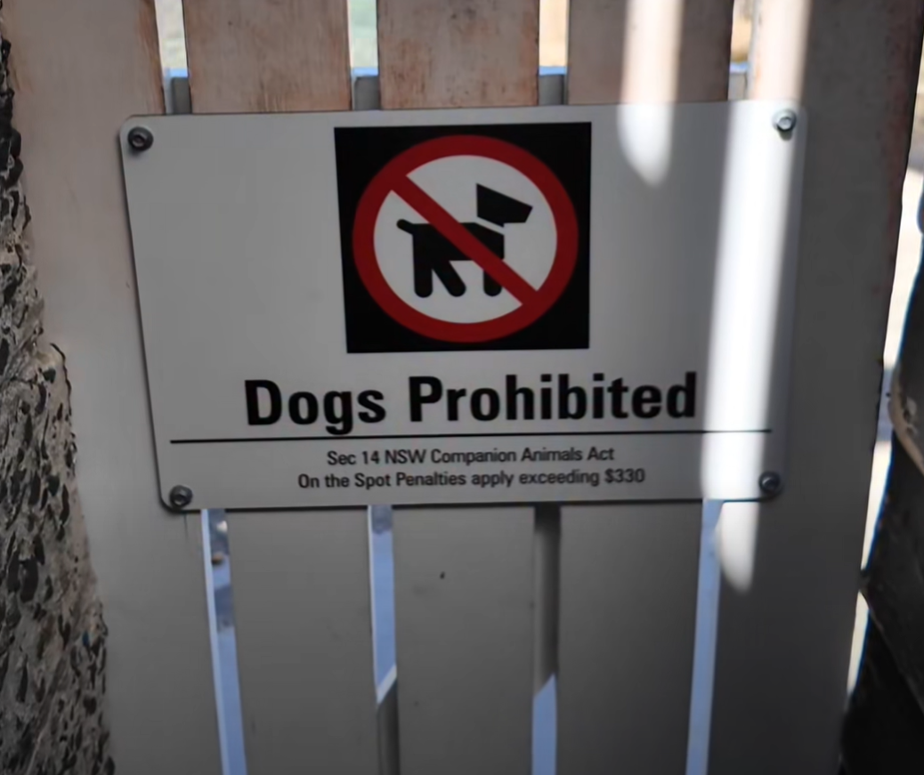Sydneysiders are up in arms about a council decision to prohibit dogs from a popular beach in the affluent eastern suburbs.