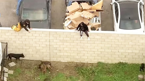 Los socorristas rescatan a una mujer del patio trasero.