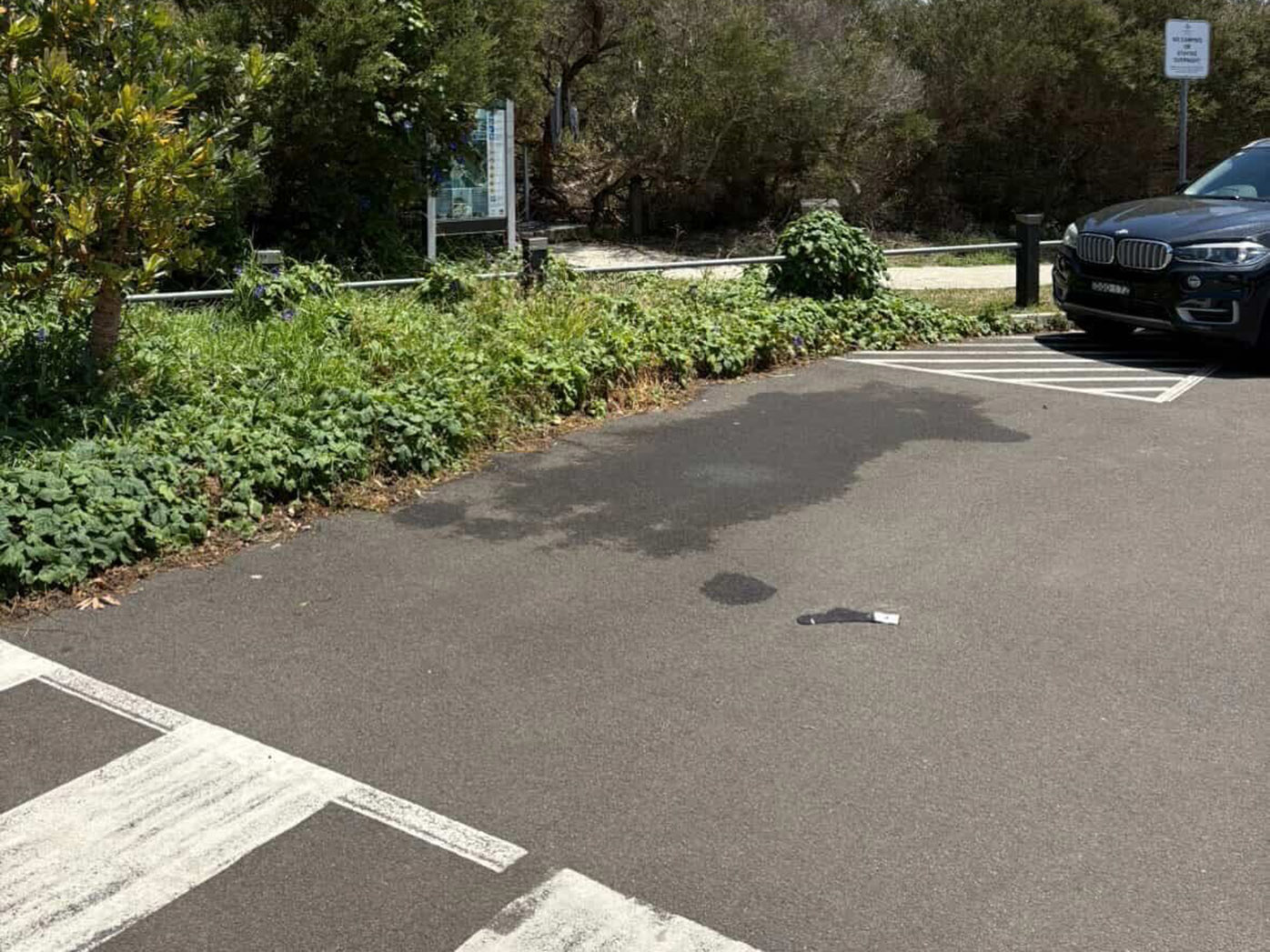 A Sydney local thought this was a parking spot but copped a fine when he left his car here.
