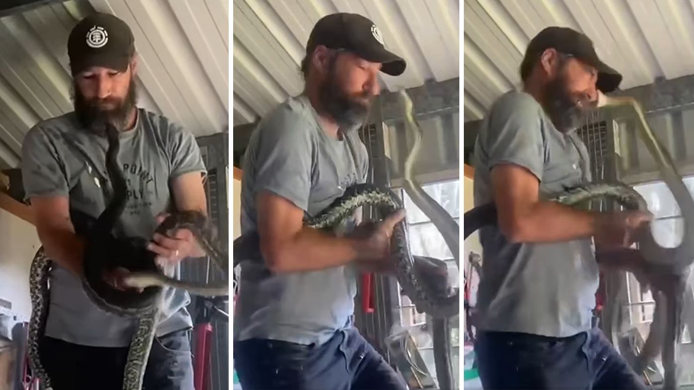 Drew's son caught the moment a snake bit him square on the face