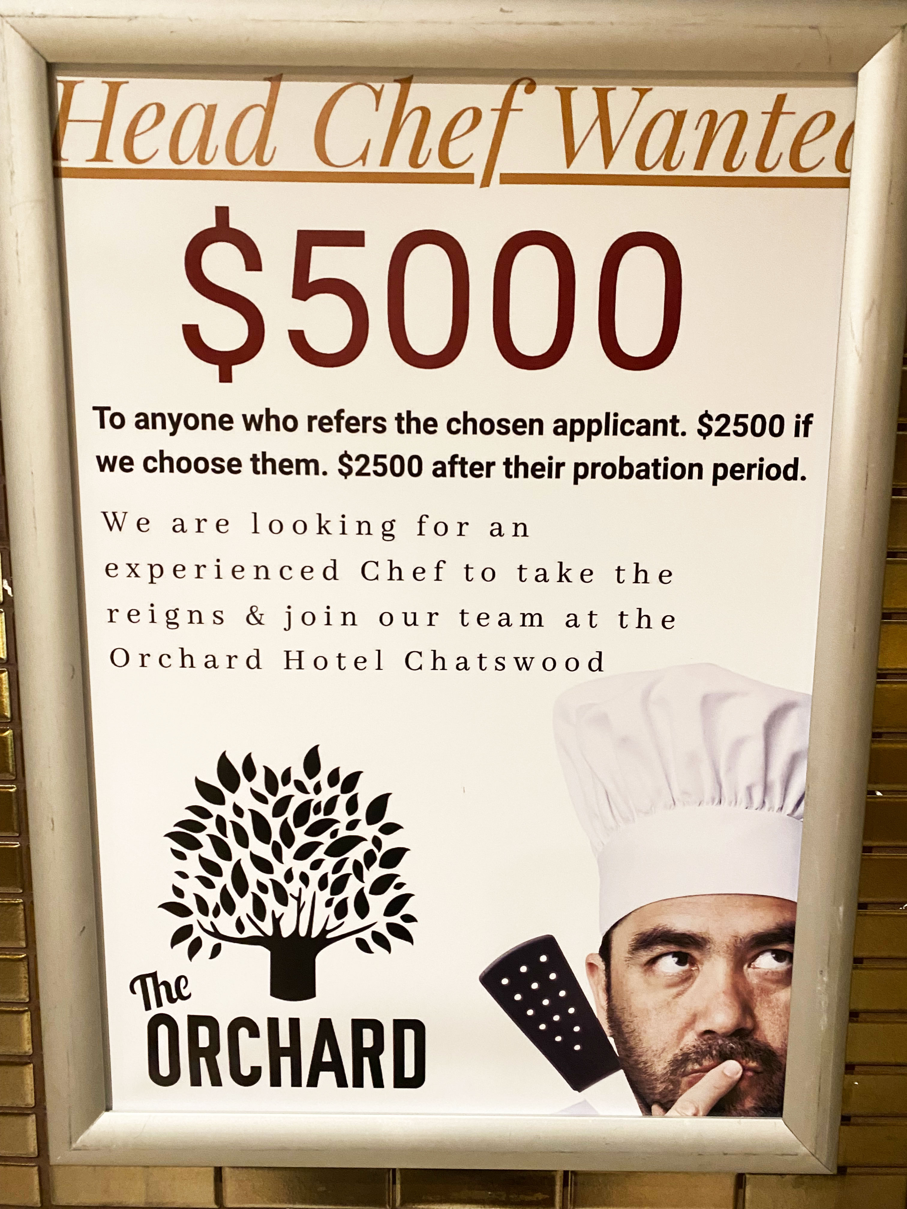 The Orchard Hotel in Chatswood has been offering a $5,000 referral bonus in a bid to find a head chef. 