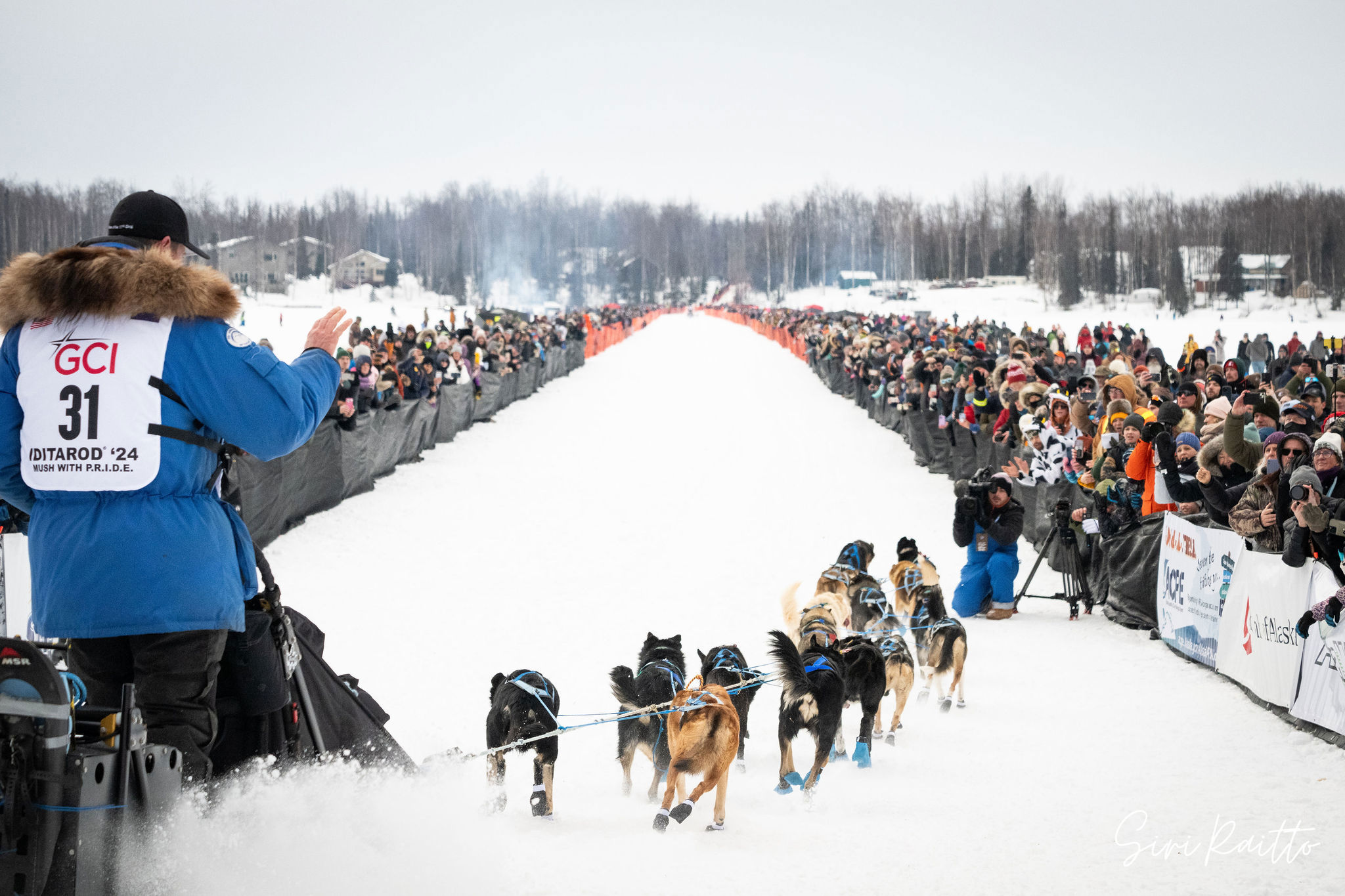 Sled-dog racer forced to kill moose during historic sled race