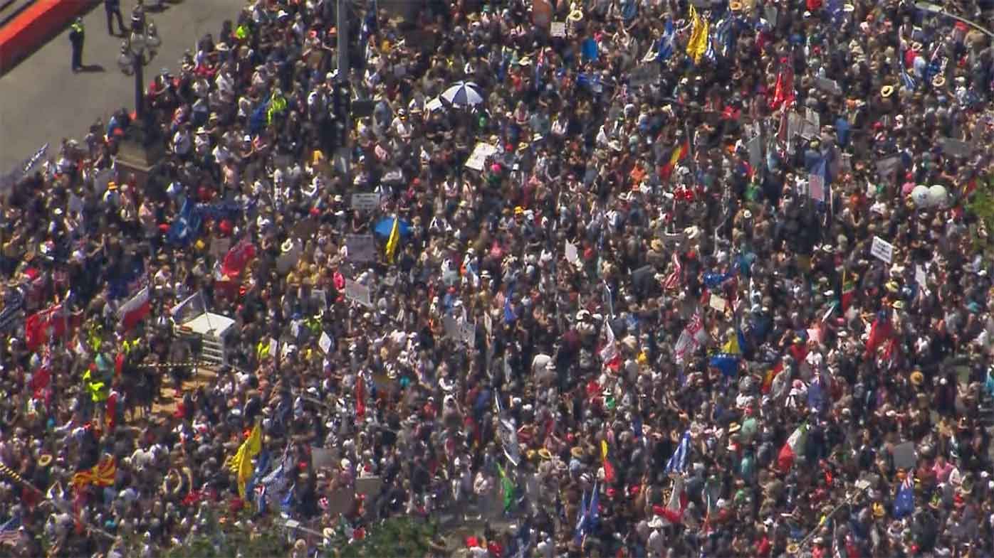 The mass of protesters waved a variety of flags.