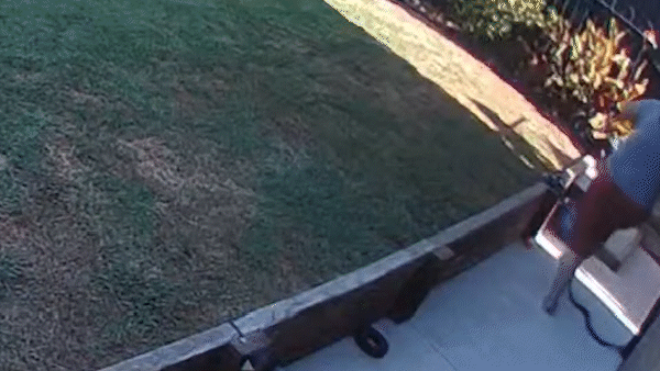 fc10f23e-f33c-4730-a7f8-c9771f3b2edb