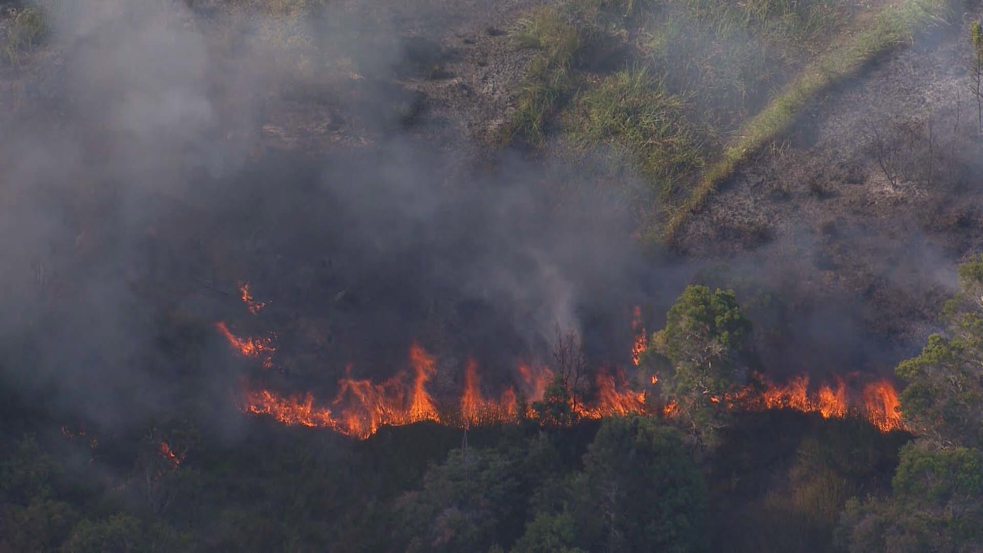 Fire crews are fighting a bushfire near Sydney Olympic Park in the city's west..