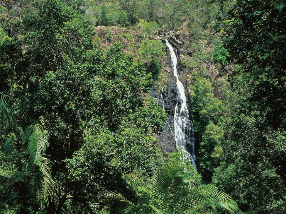 Woman falls to her death at Queensland waterfall