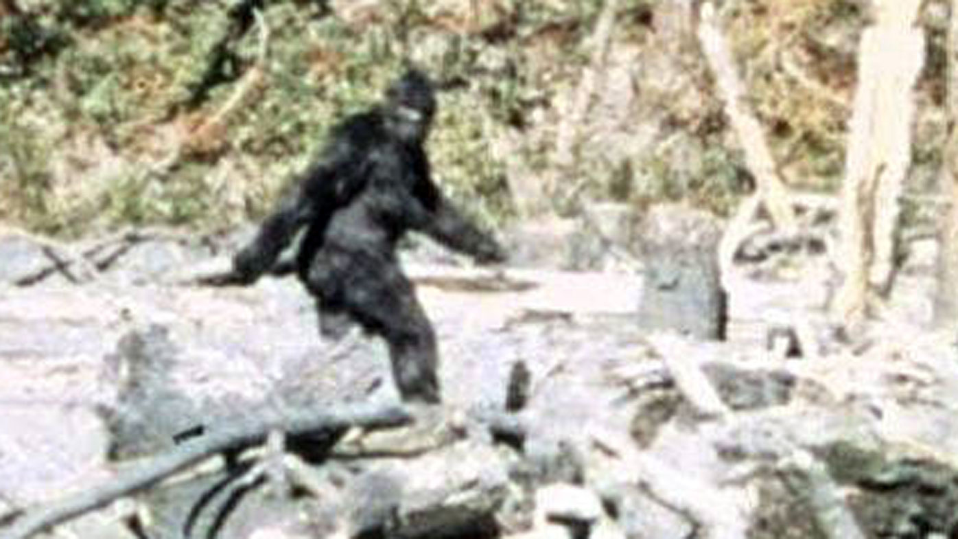 The FBI analysed hairs from a suspected Bigfoot in the 1970s.