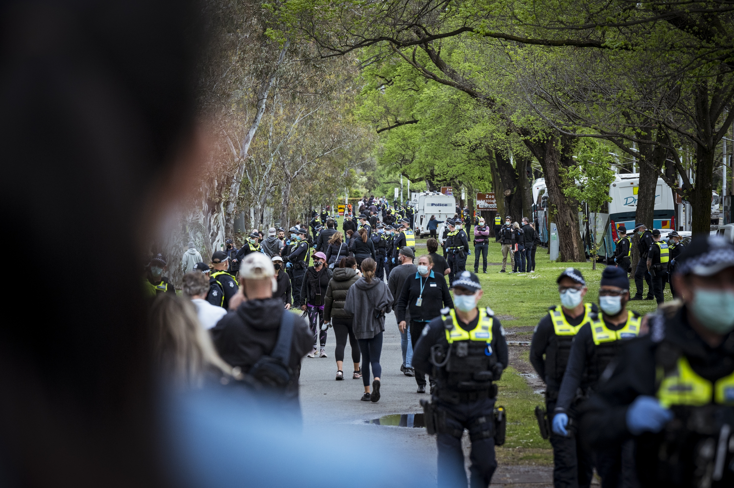una pequeña protesta en el Princes Park de Melbourne.