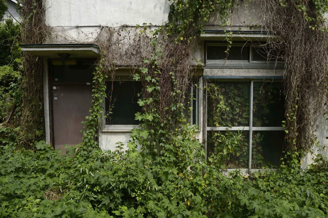 Overgrown vegetation surrounds a vacant house in the Yato area of Yokosuka City, Kanagawa prefecture, Japan
