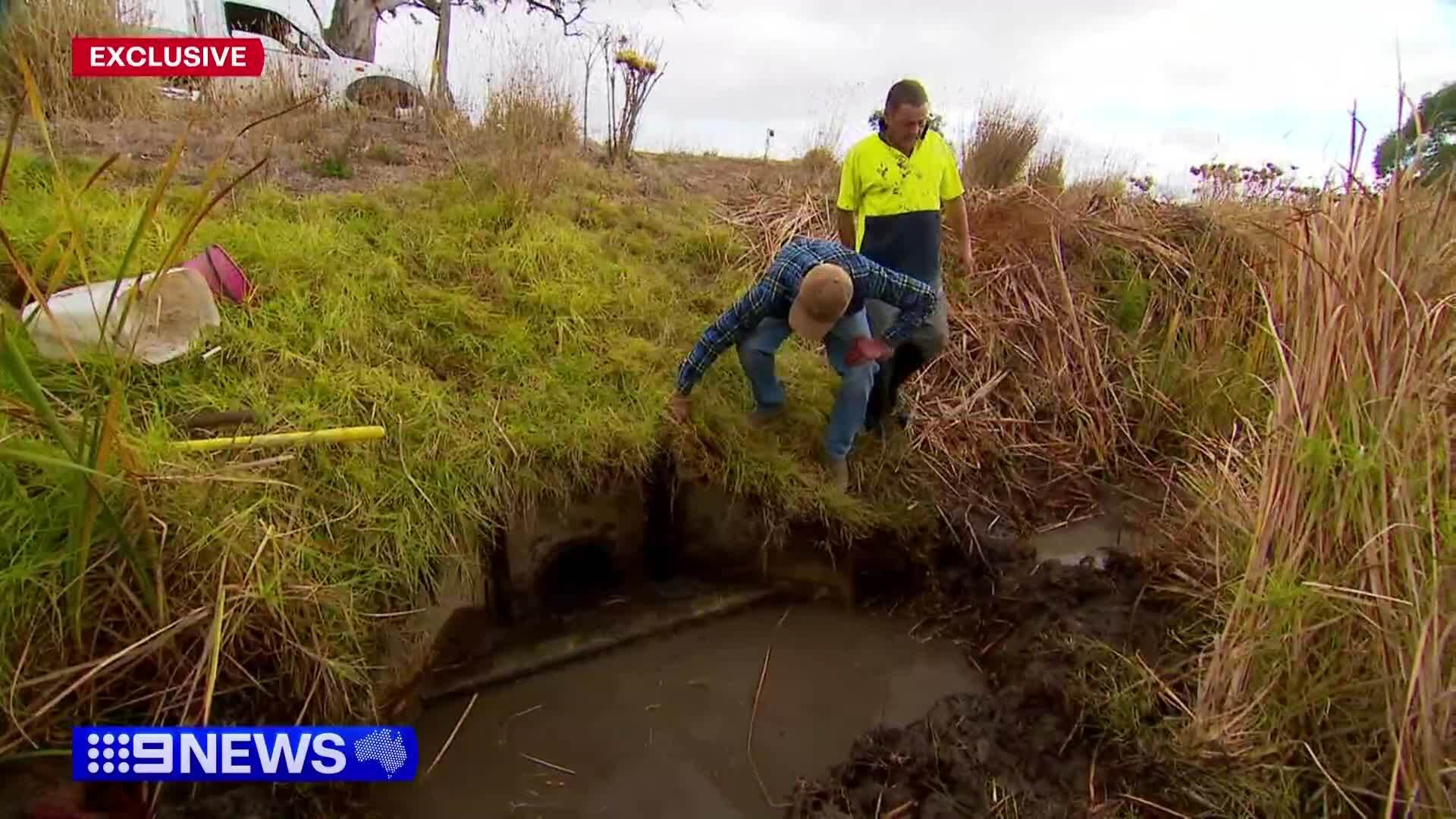 A South Australian grape grower claims they have been sabotaged after a vital drain on their vineyard was stuffed with dirt and cement.