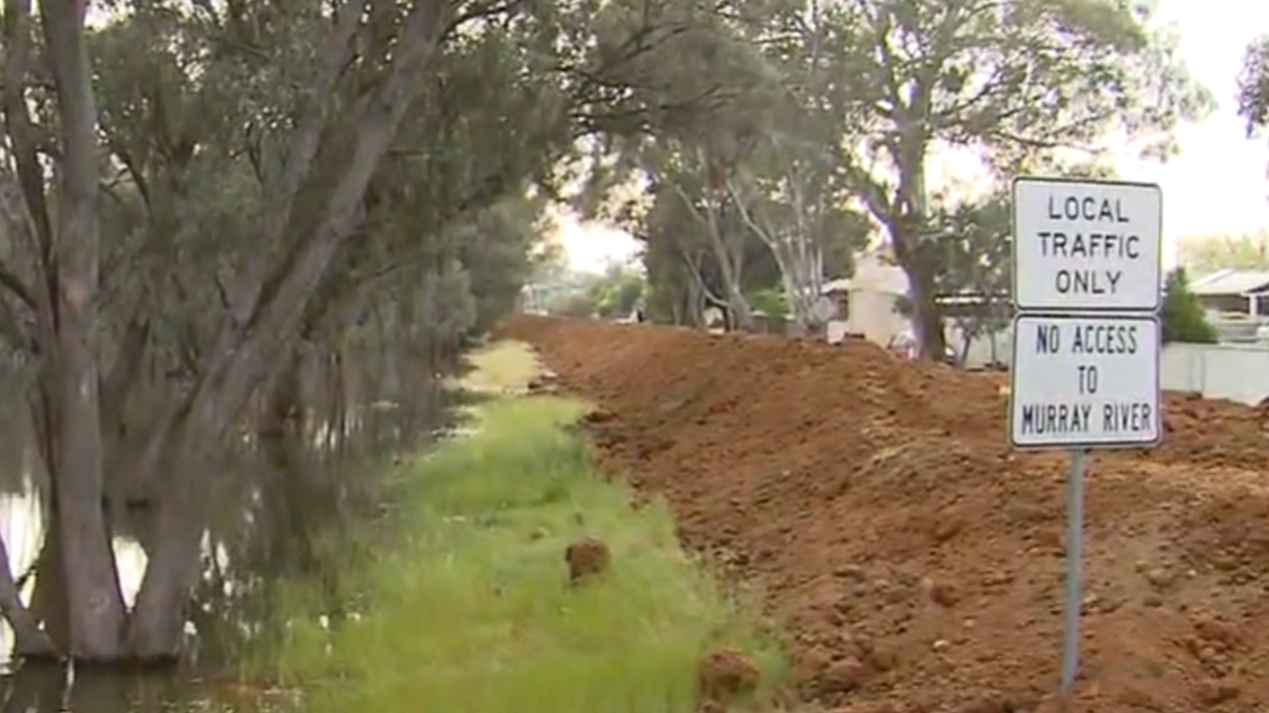 The hopes of the Echuca community are resting on this 2.5 kilometre clay wall. 