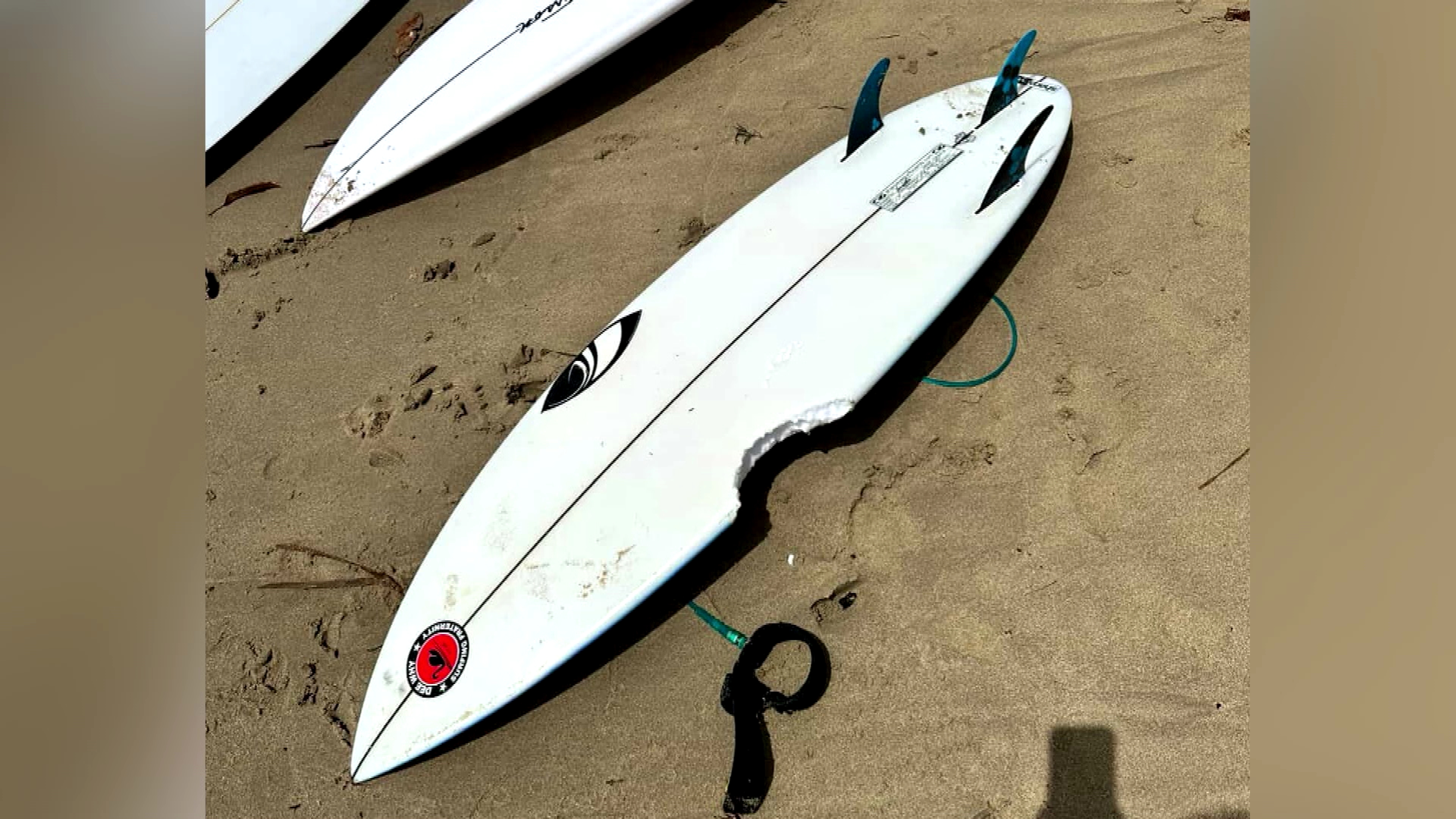 Authorities said a shark took an estimated 15-centimetre chunk out of the boy's surfboard at the netted Dee Why Beach, near Dee Why Point, about 11.45am today.A photo of the surfboard shared by the Manly Observer.