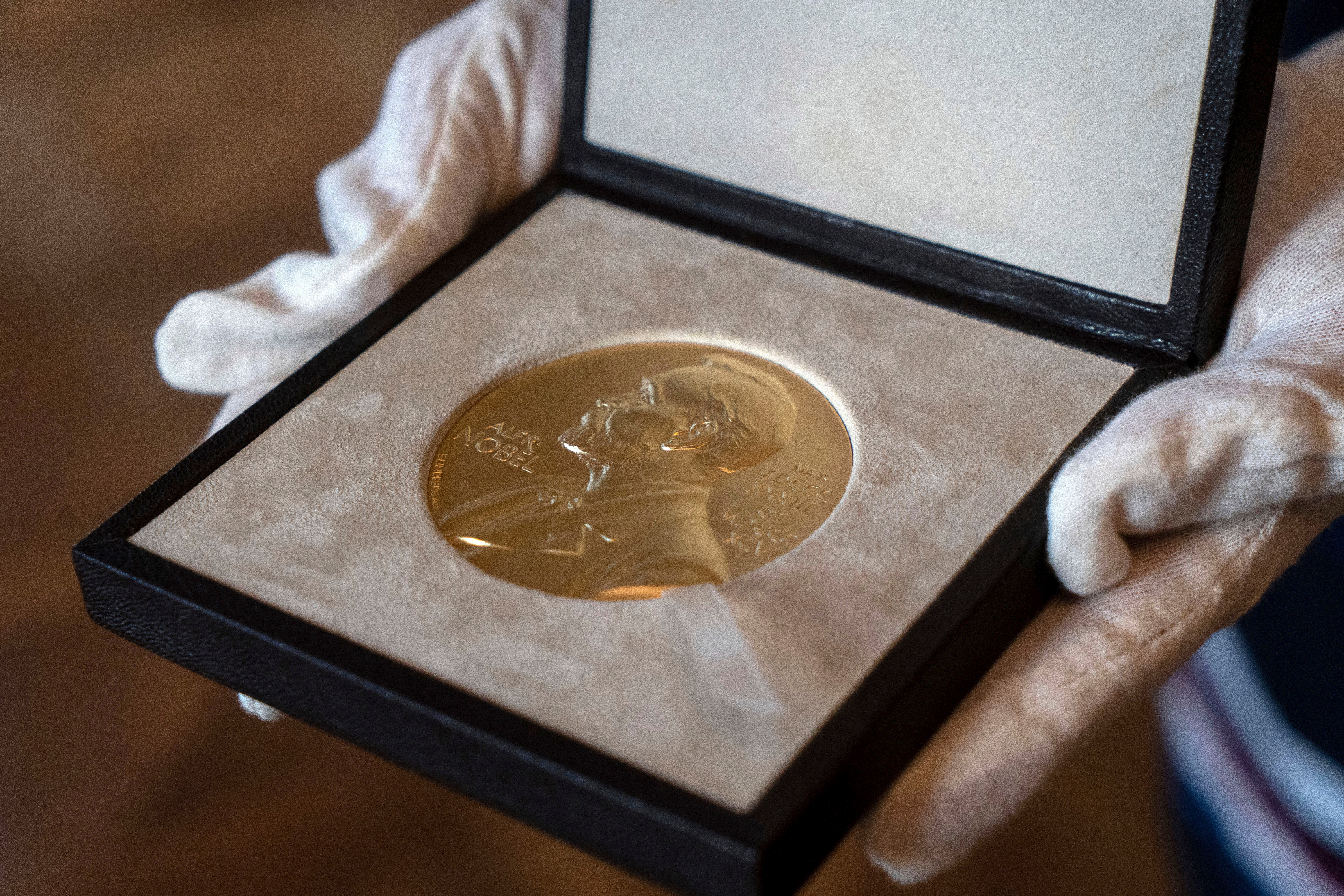 What to know about the prestigious Nobel Prize awards 