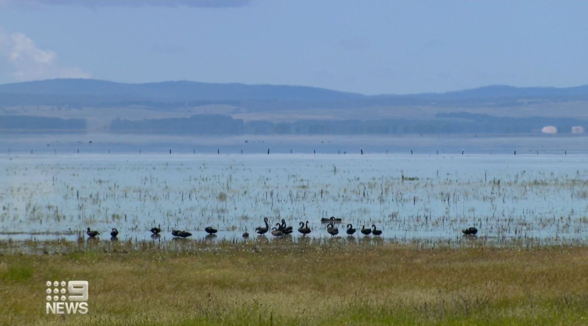 At its deepest point, Lake George has been measured at 7.5 metres.