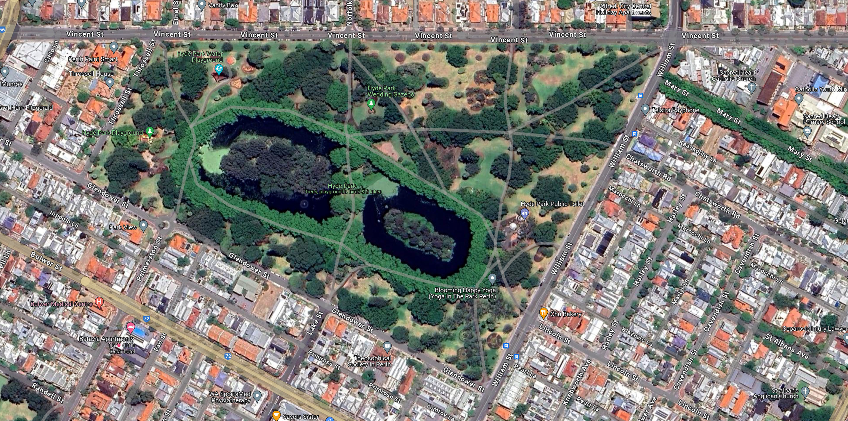 Beloved Perth city park to lose 176 trees in war with tiny beetle