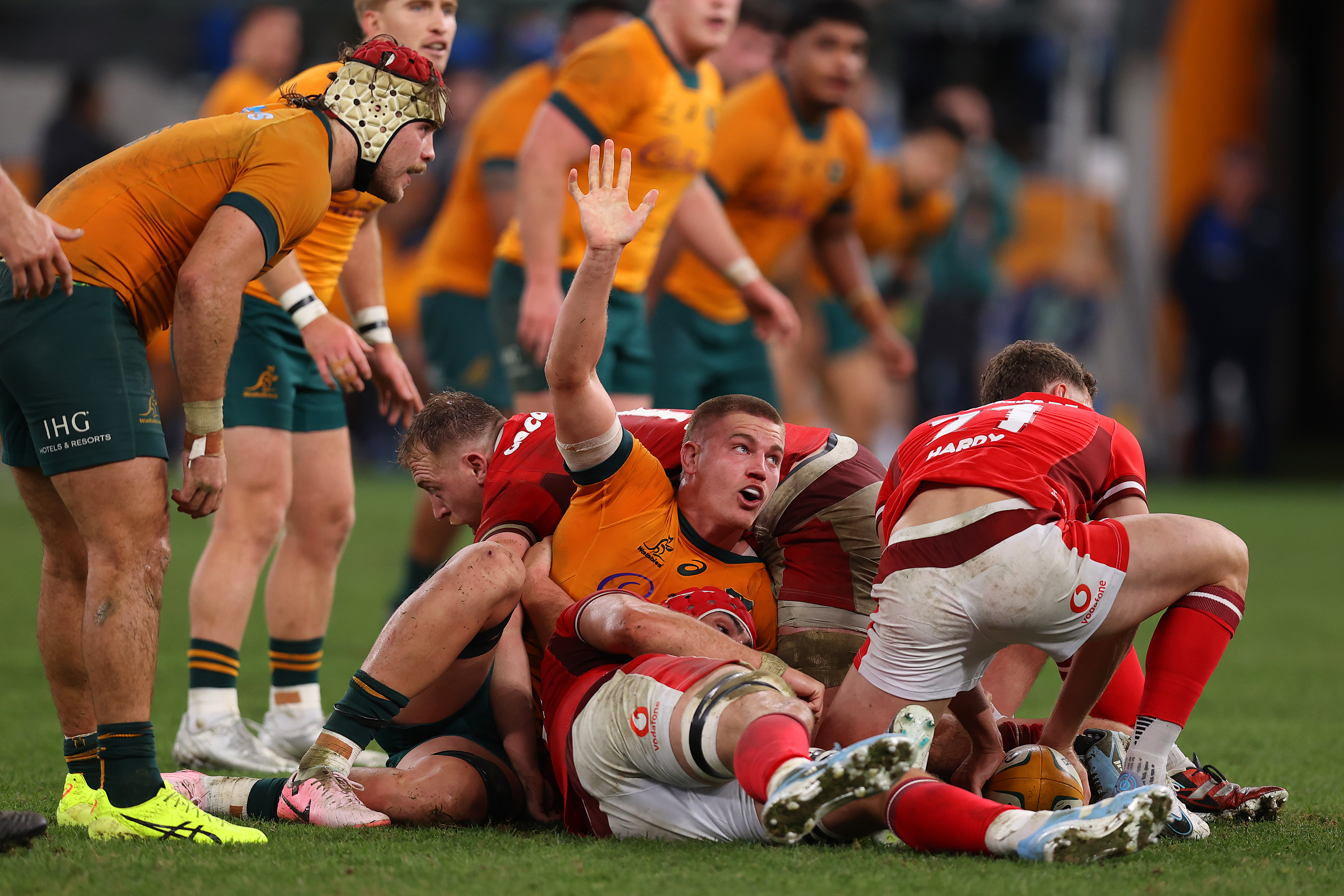 Charlie Cale of the Wallabies at Allianz Stadium.