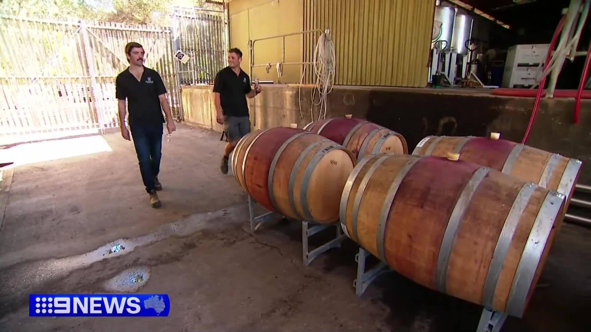 South Australian winemakers are toasting new opportunities after China lifted its tariff on Australian wine.