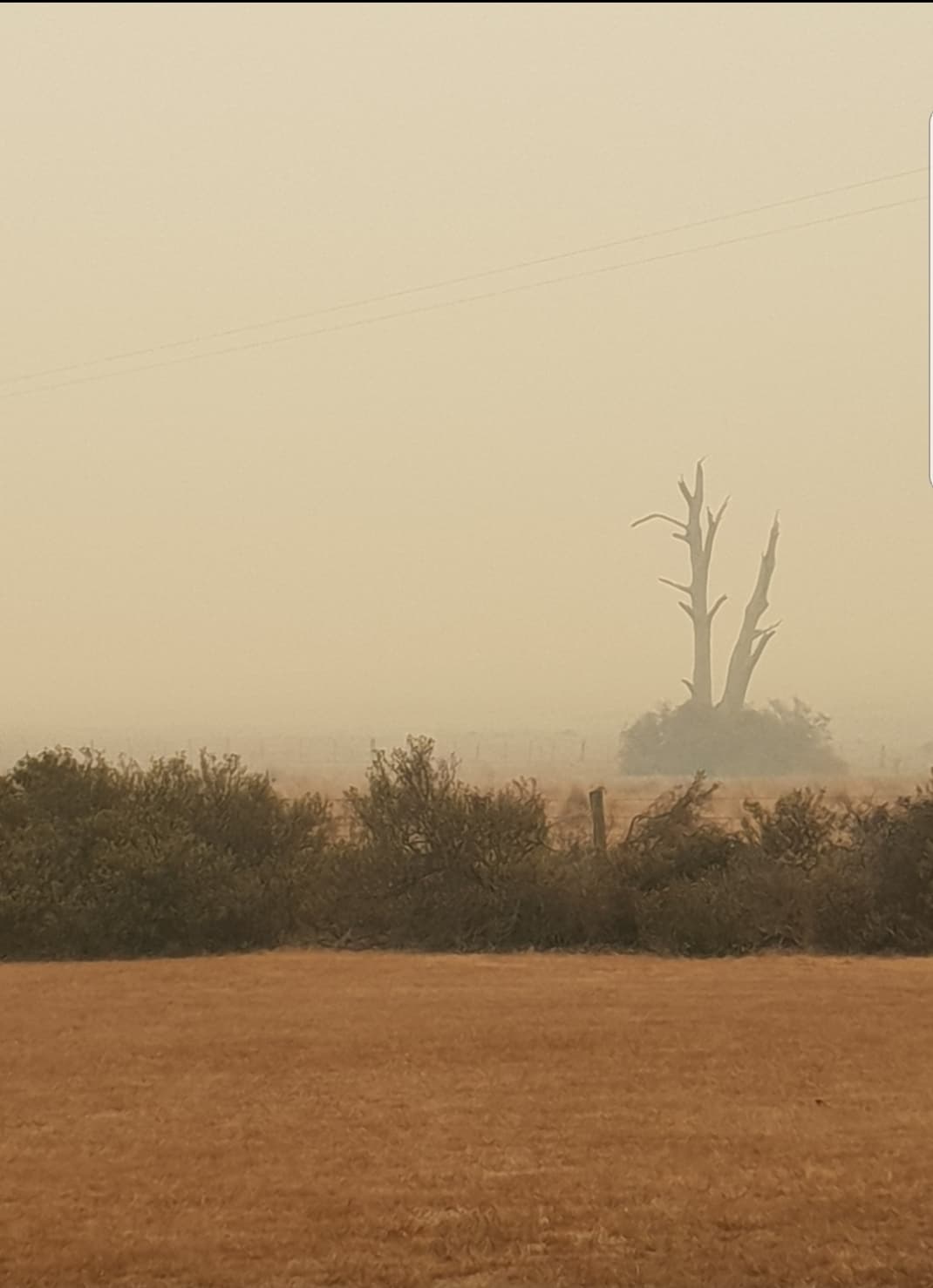 Braidwood fires.