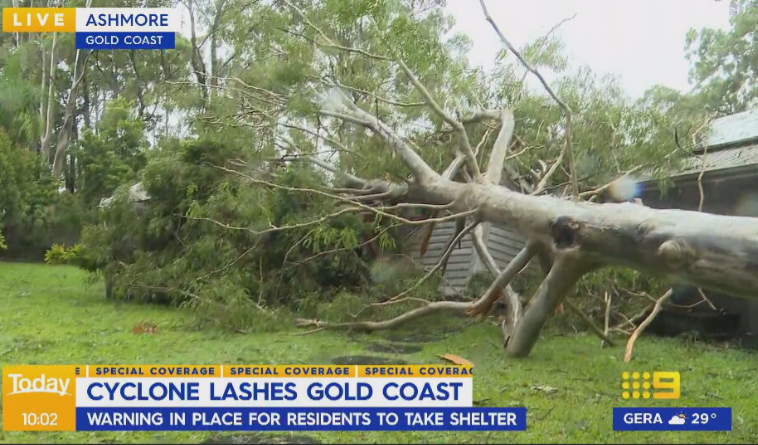 Gold Coast home smashed by falling tree